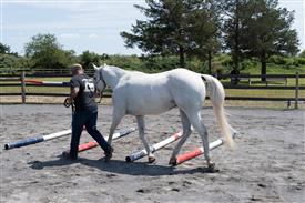 LR-WRF 08022025-Retreat-3281